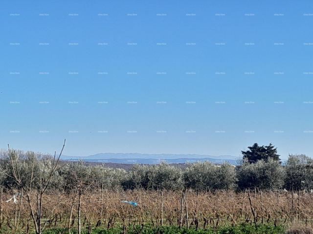 Bauland Bauland zum Verkauf, Marčana