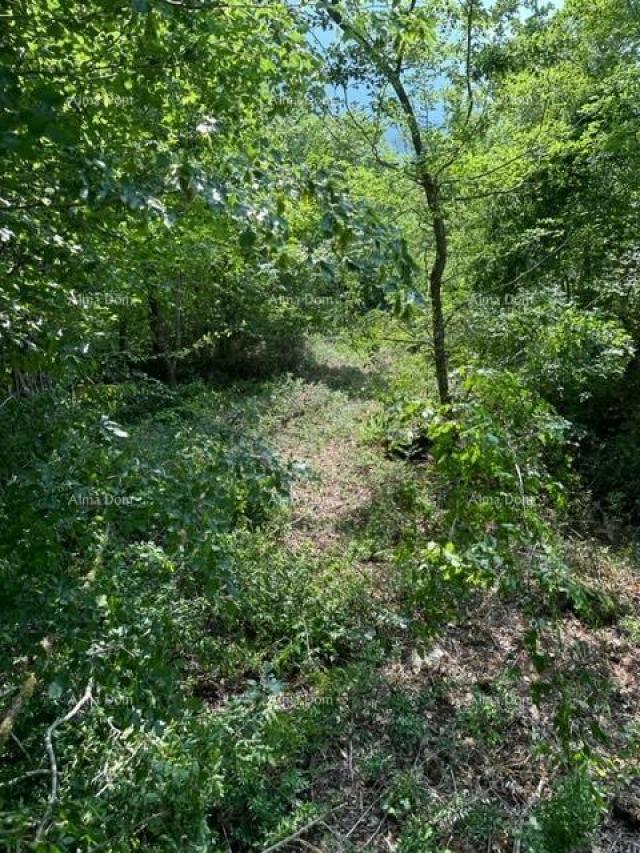 Landwirtschaftsgrundstück Landwirtschaftliche Fläche zum Verkauf (Wald), 7 km von Poreč entfernt