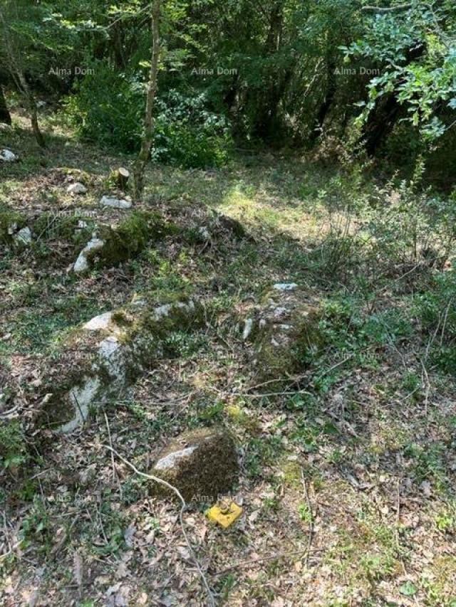 Landwirtschaftsgrundstück Landwirtschaftliche Fläche zum Verkauf (Wald), 7 km von Poreč entfernt