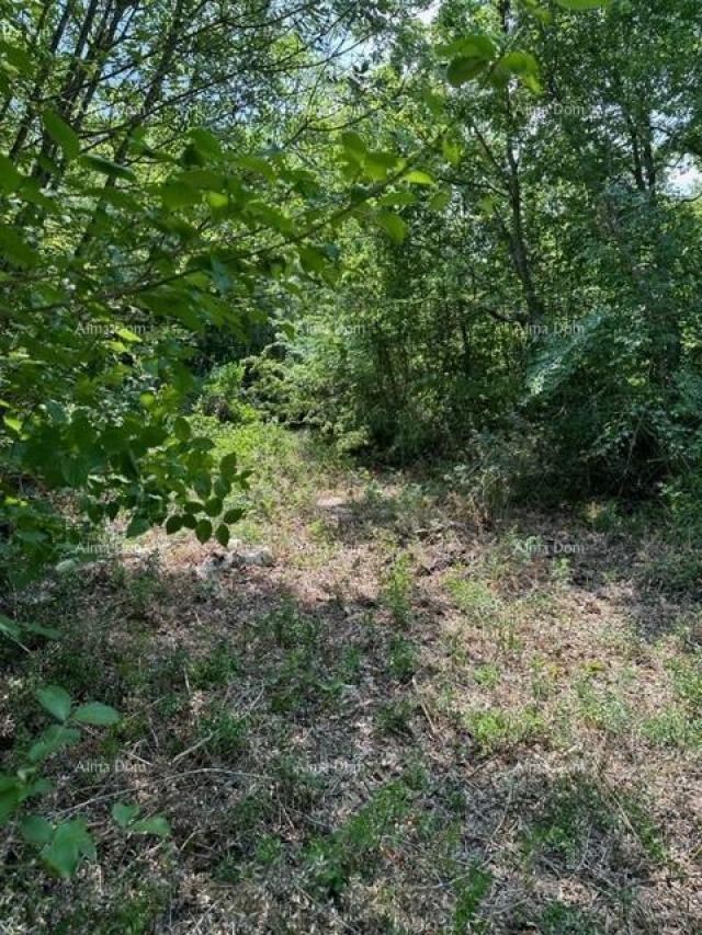 Landwirtschaftsgrundstück Landwirtschaftliche Fläche zum Verkauf (Wald), 7 km von Poreč entfernt