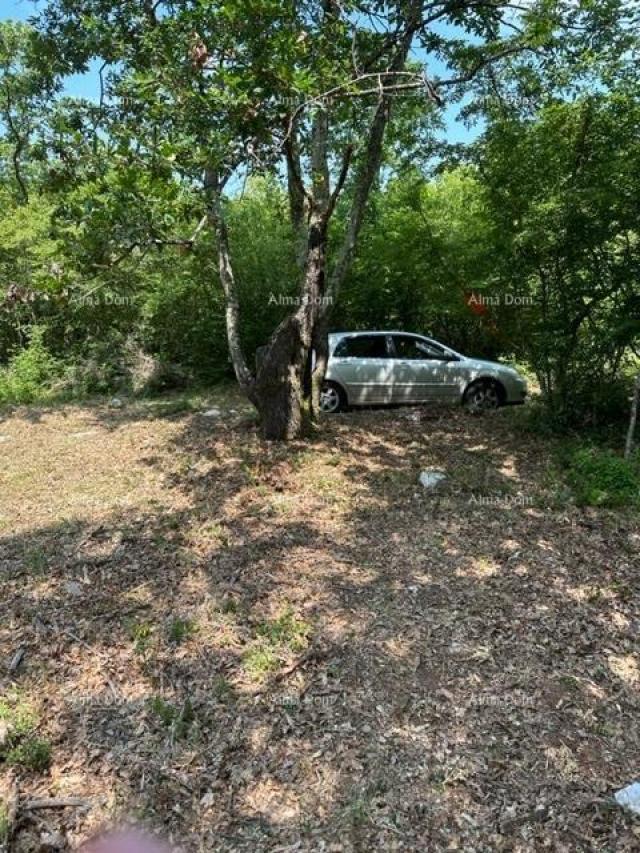 Landwirtschaftsgrundstück Landwirtschaftliche Fläche zum Verkauf (Wald), 7 km von Poreč entfernt