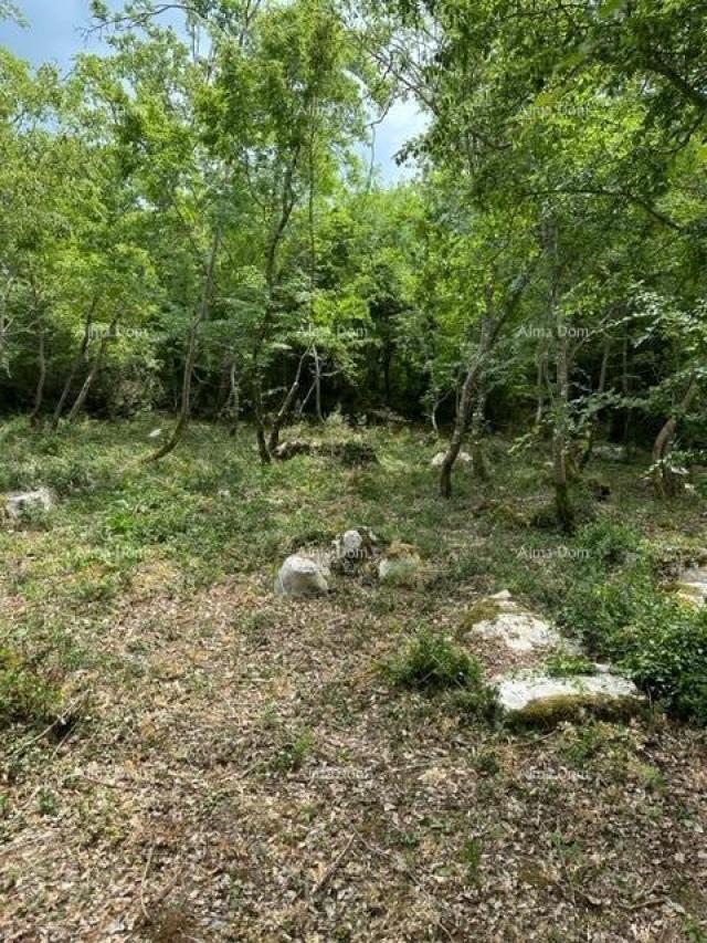 Landwirtschaftsgrundstück Landwirtschaftliche Fläche zum Verkauf (Wald), 7 km von Poreč entfernt