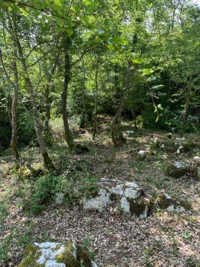 Landwirtschaftsgrundstück Landwirtschaftliche Fläche zum Verkauf (Wald), 7 km von Poreč entfernt