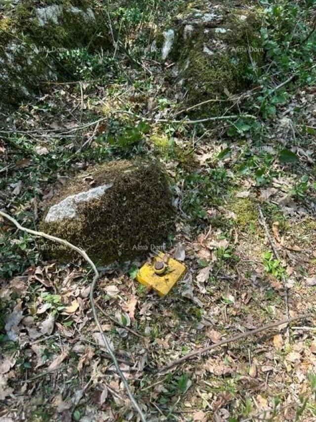 Poljoprivredno zemljište Prodajem poljoprivredno zemljište ( šuma ) 7 km od Poreča