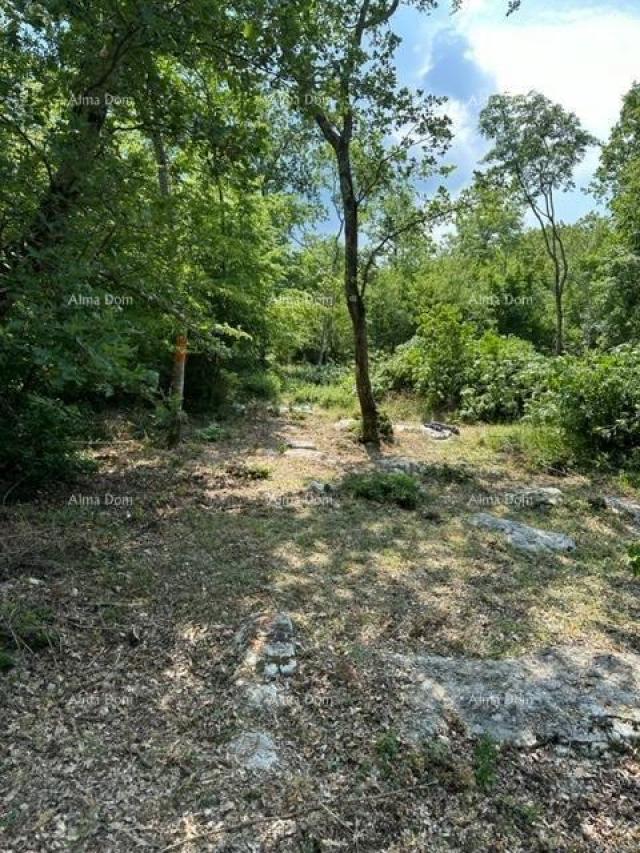 Landwirtschaftsgrundstück Landwirtschaftliche Fläche zum Verkauf (Wald), 7 km von Poreč entfernt