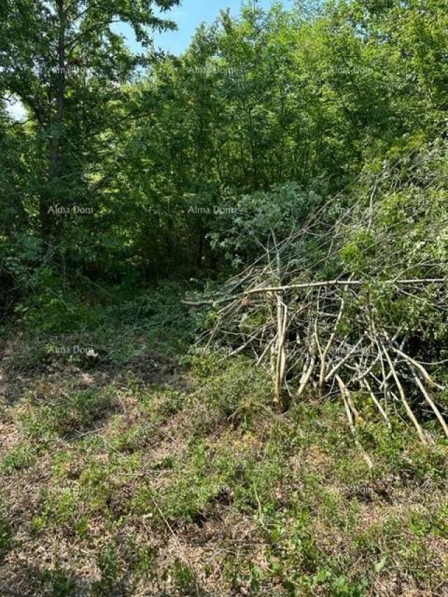 Landwirtschaftsgrundstück Landwirtschaftliche Fläche zum Verkauf (Wald), 7 km von Poreč entfernt