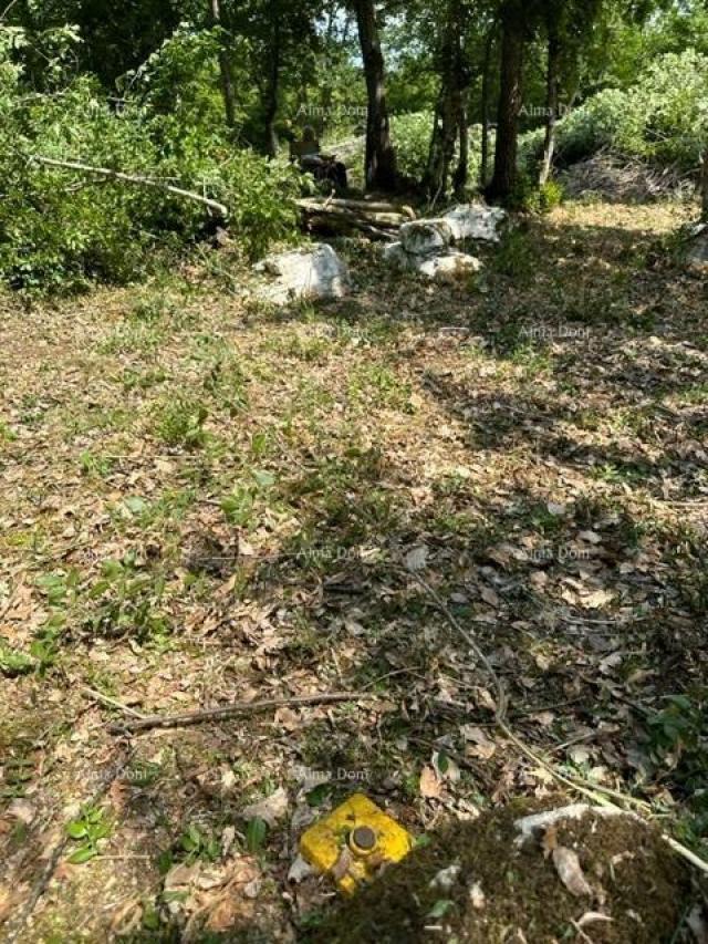 Landwirtschaftsgrundstück Landwirtschaftliche Fläche zum Verkauf (Wald), 7 km von Poreč entfernt