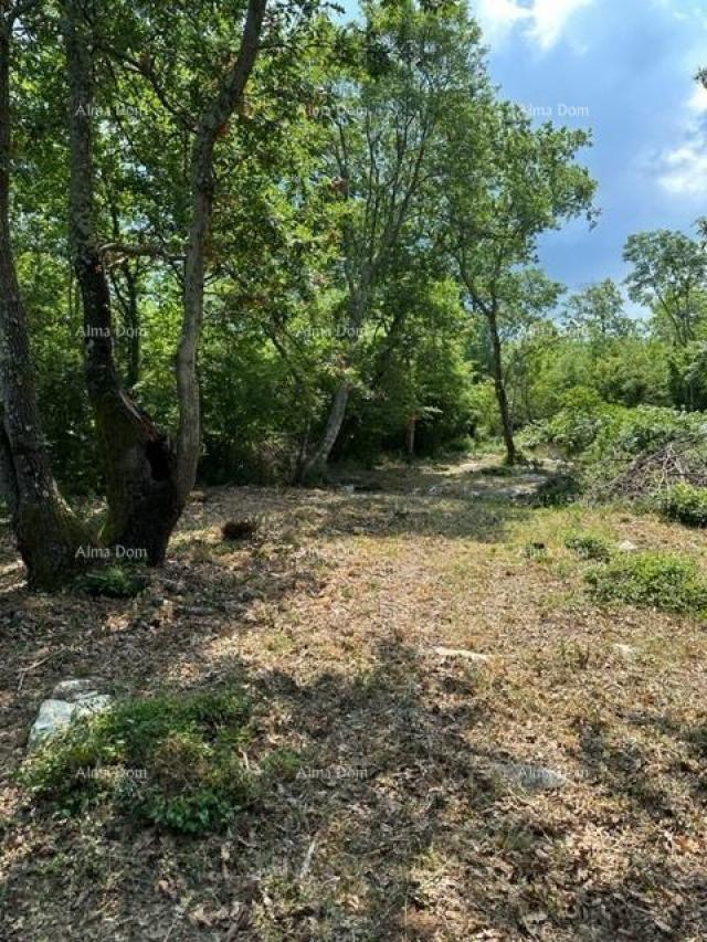 Landwirtschaftsgrundstück Landwirtschaftliche Fläche zum Verkauf (Wald), 7 km von Poreč entfernt