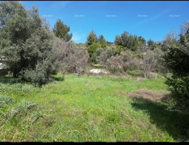 Building land Building plot for sale, Labin, with sea view and project