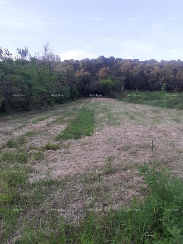 Building land Land for sale in Banjole