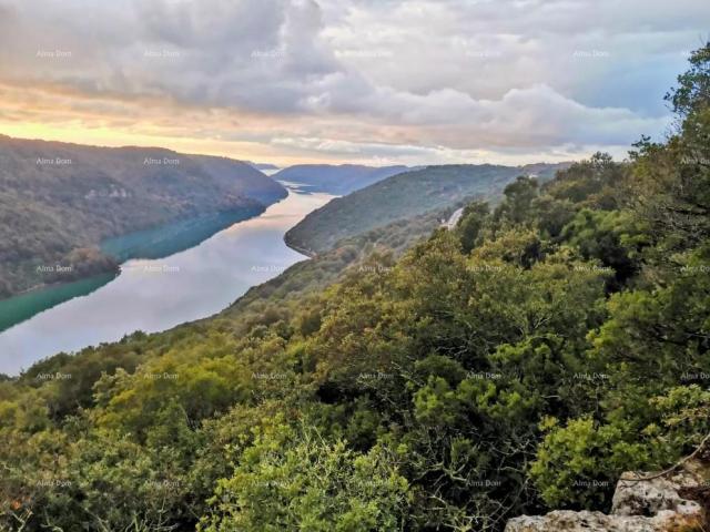 Poljoprivredno zemljište Prodaje se poljoprivredno zemljište, Sveti Lovreč