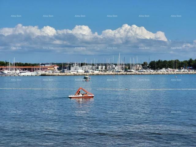 Poljoprivredno zemljište Brtonigla! Poljoprivredno zemljište. 