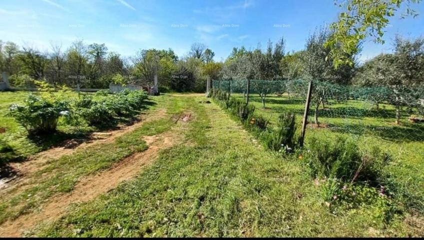 Landwirtschaftsgrundstück Galižana, landwirtschaftliches Grundstück.