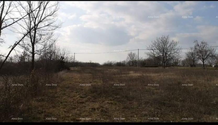 Building land Building plot 2201m2 for sale, near Žminj