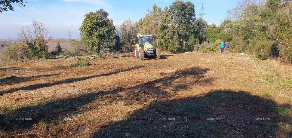 Landwirtschaftsgrundstück Ackerland zu verkaufen, Ližnjan