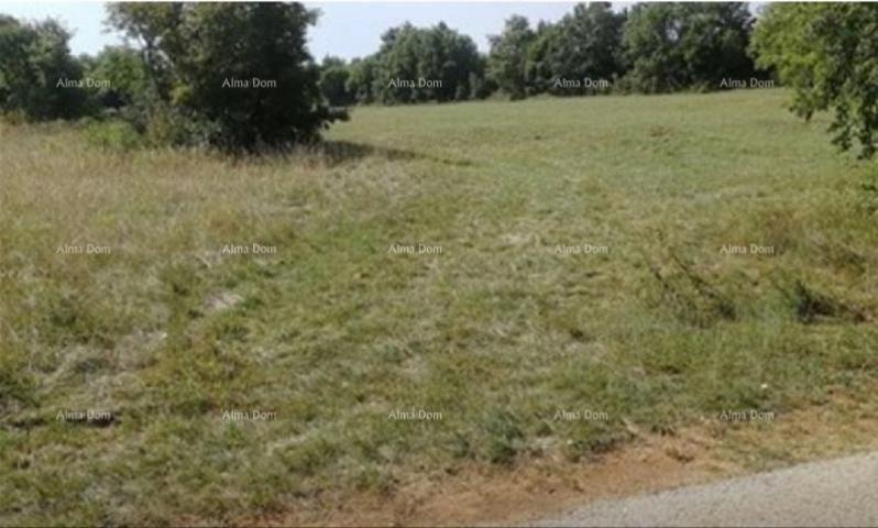 Building land Building and agricultural land for sale, Žminj