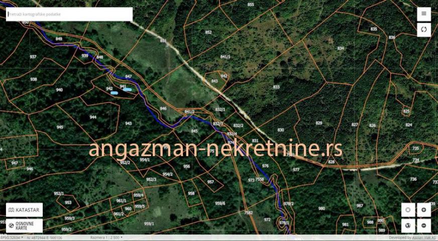 Rtanj – Podgorac 10ha 77a 17kvm ID#18147