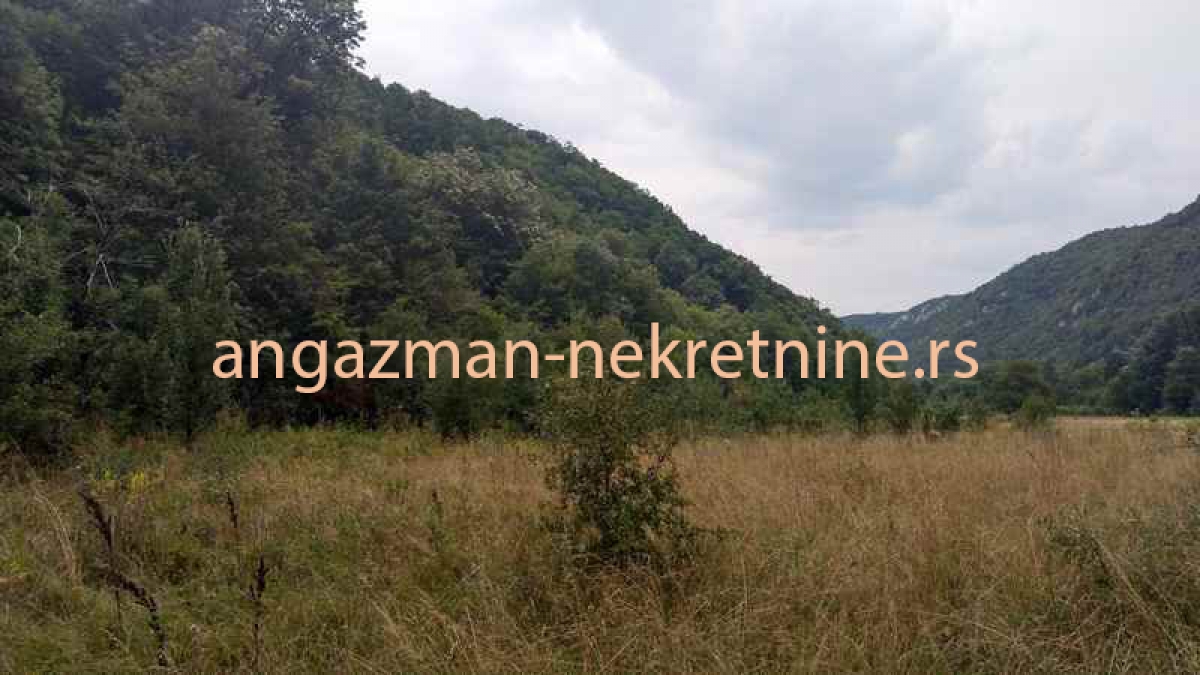 Boljevac, Rtanj – Jablanica - 77, 11ari ID#19054