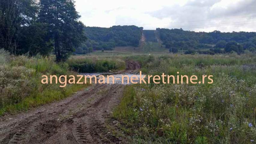 Boljevac, Rtanj – Jablanica 1ha 28ari i 82kvm ID#19063