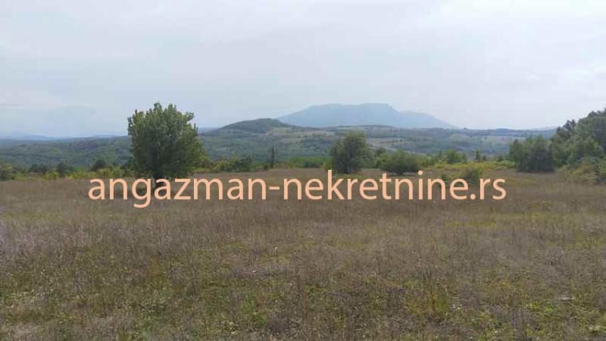 Boljevac – Vrbovac 12ha 58a 33kvm – 70eur/ar ID#19619