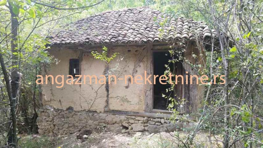 Boljevac – Vrbovac 12ha 58a 33kvm – 70eur/ar ID#19619