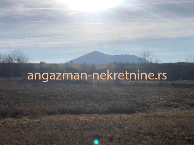 Boljevac, Valakonje-Carina – 82kvm + 403, 90ari ID#20938