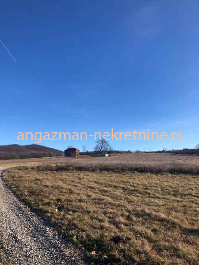 Boljevac, Valakonje-Carina – 82kvm + 403, 90ari ID#20938