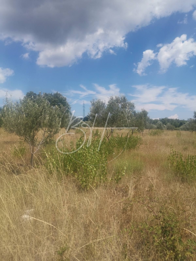 Land Vodnjan, 44.000m2