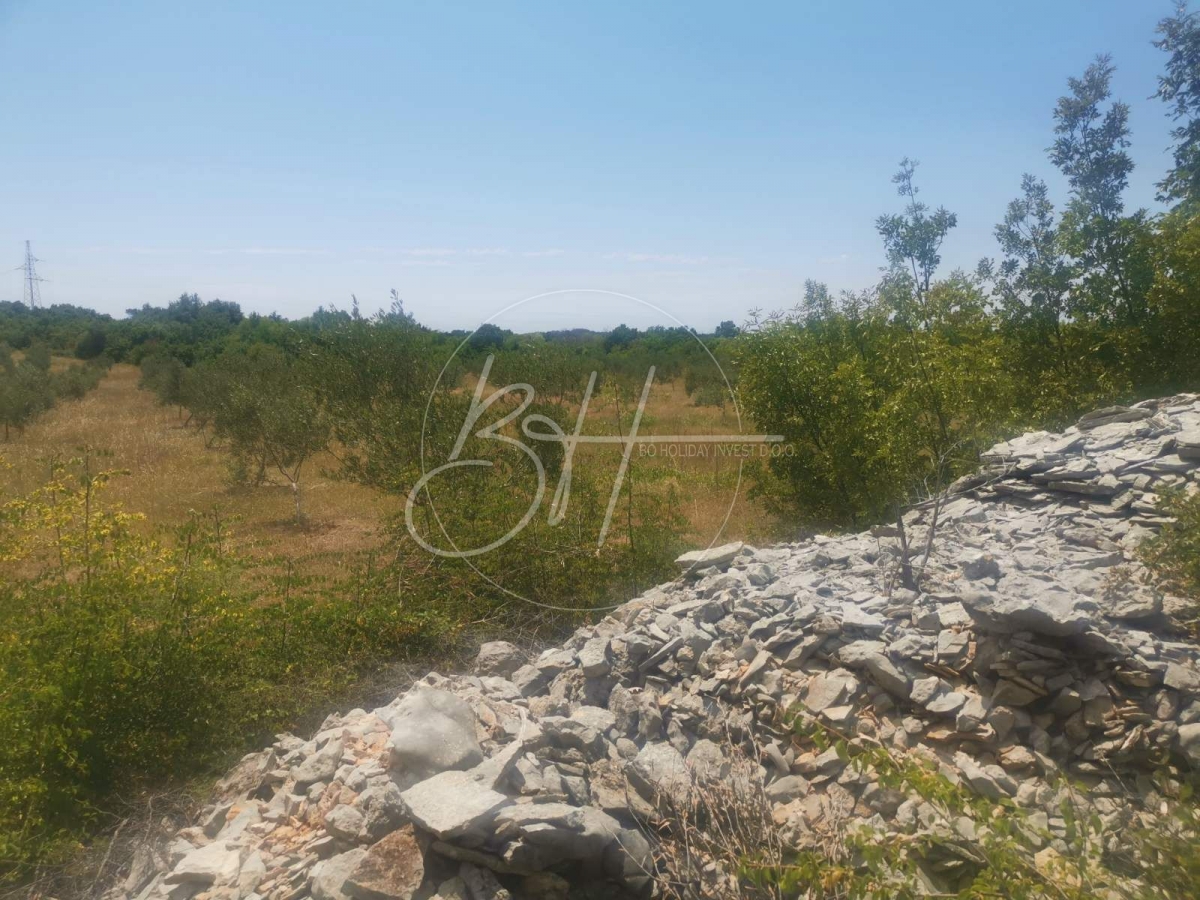 Land Vodnjan, 44.000m2