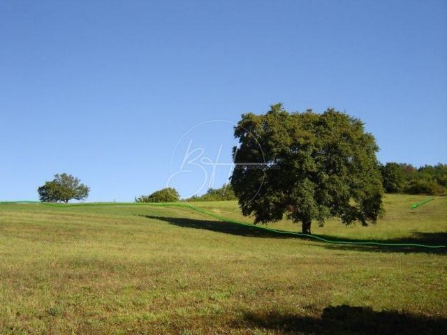 Land Poreč, 16.637m2