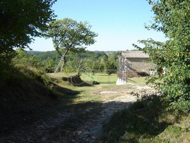 Land Poreč, 16.637m2