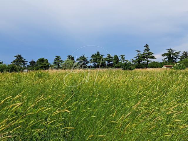 Land Štinjan, Pula, 890m2