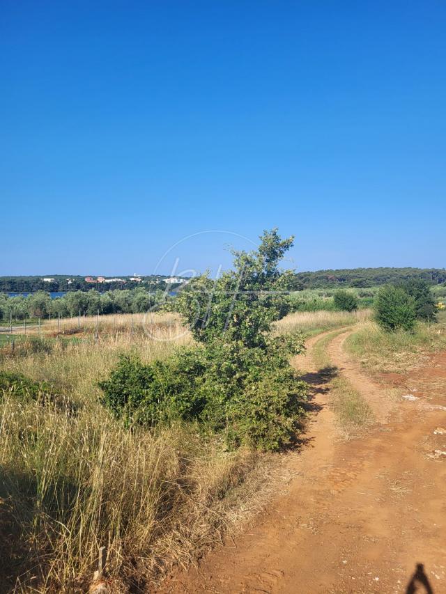 Građevinsko zemljište u Pomer