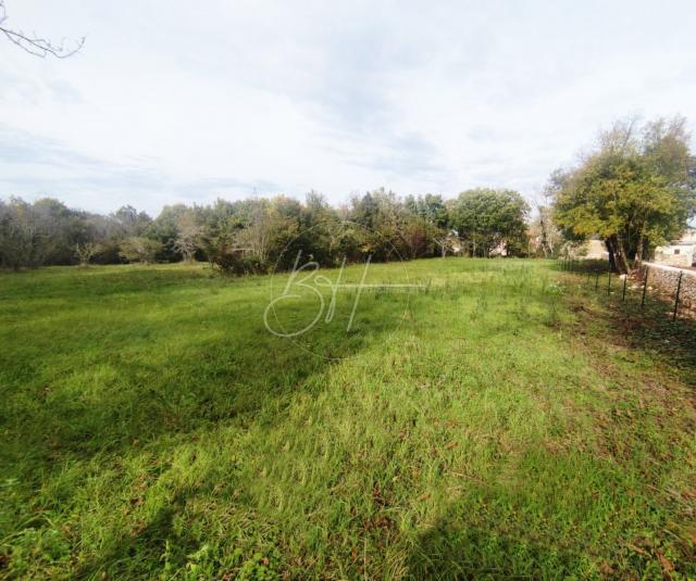 Land Barban, 2.241m2