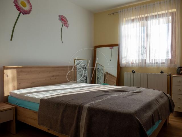 Kuća s 4 apartmana, garažom i velikim maslinikom