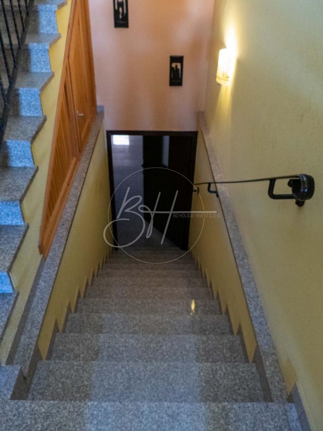 Kuća s 4 apartmana, garažom i velikim maslinikom