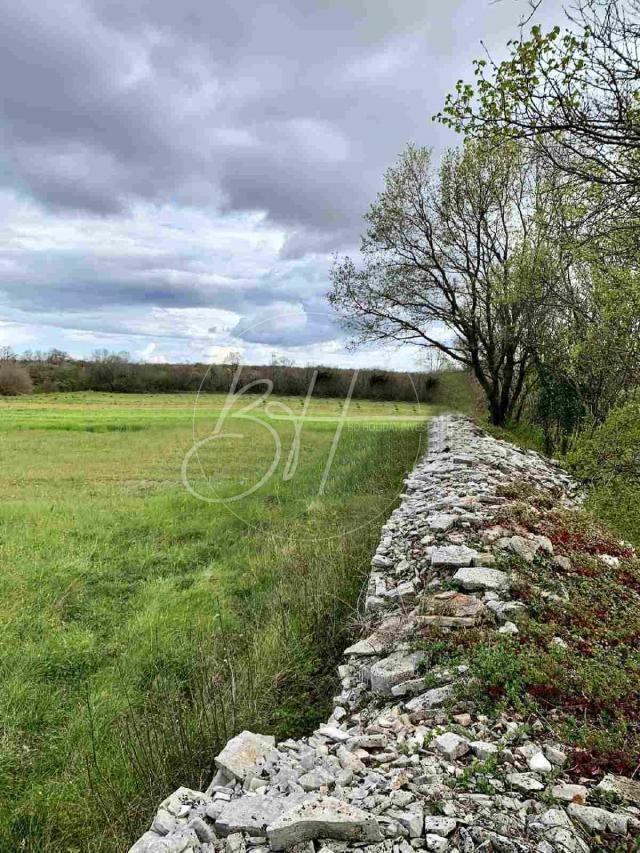 Land Čabrunići, Svetvinčenat, 820m2