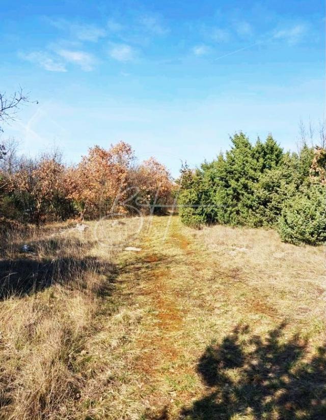 Land Smoljanci, Svetvinčenat, 6.287m2