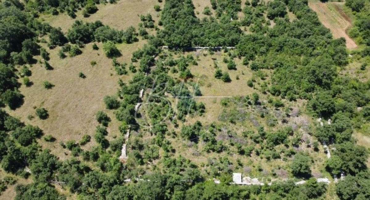 Land Smoljanci, Svetvinčenat, 12.421m2