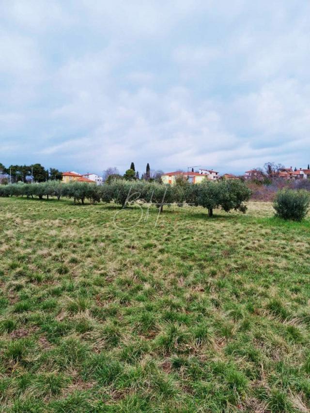 Land Murine, Umag, 1.367m2