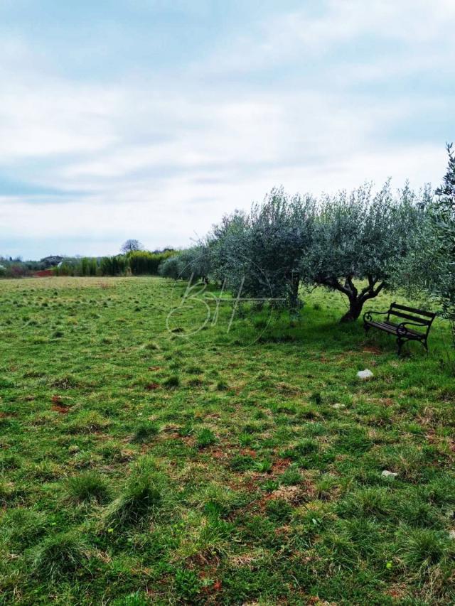 Građevinsko zemljište, Murine-Umag