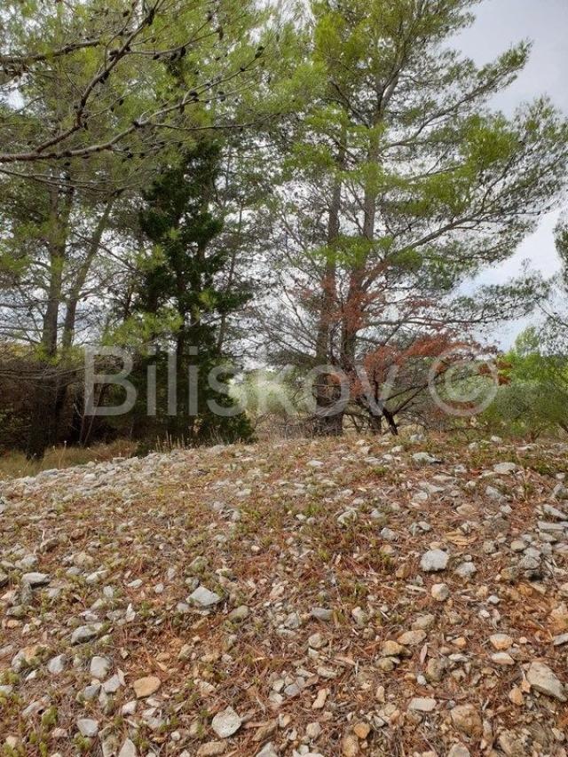 Brač, Bol 1750 m2 zemljište gospodarske namjene K3