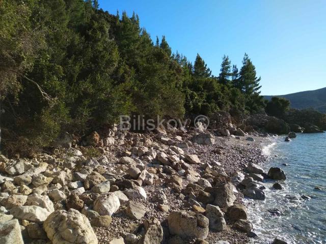 Pelješac, prodaja poljoprivredno zemljište 10897m2 uz plažu