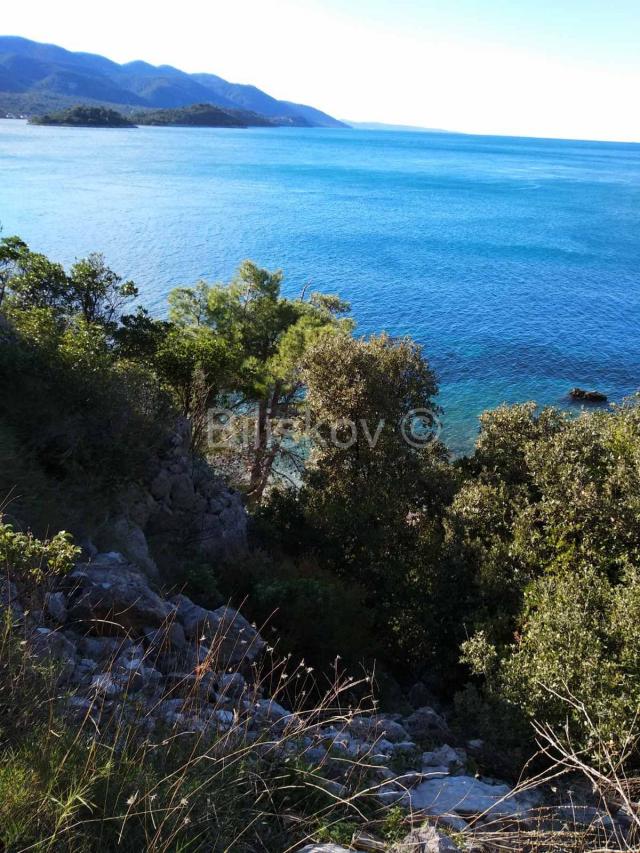 Pelješac, prodaja poljoprivredno zemljište 10897m2 uz plažu