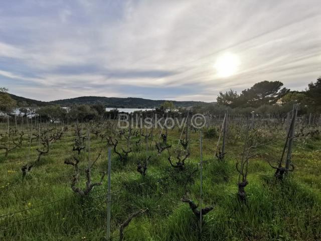 Prodaja, Tisno, samostojeća kuća, 10000 m2 parcela