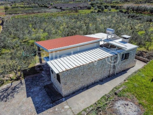 Stari Grad,  kuća 51 m2 sa maslinikom 2300 m2