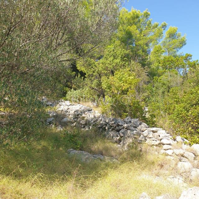 Vela Luka, prodaja poljoprivredno zemljište 10756m2