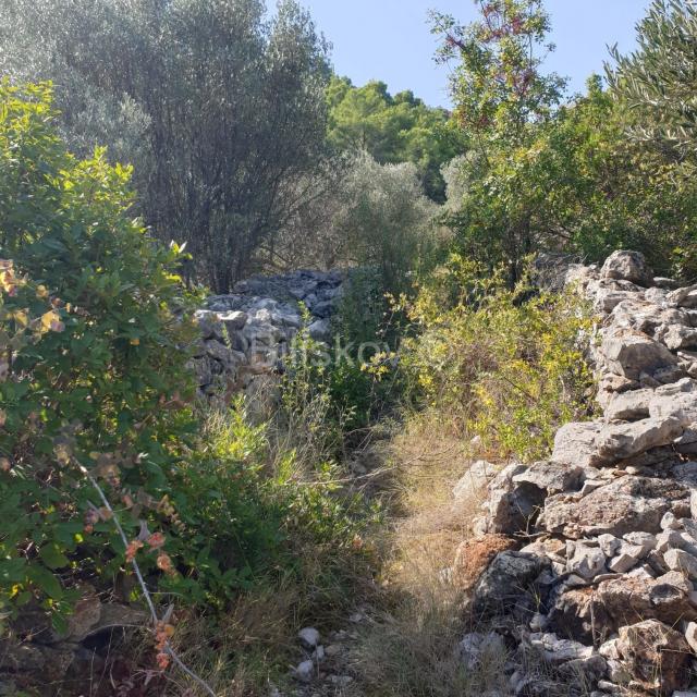 Vela Luka, prodaja poljoprivredno zemljište 10756m2