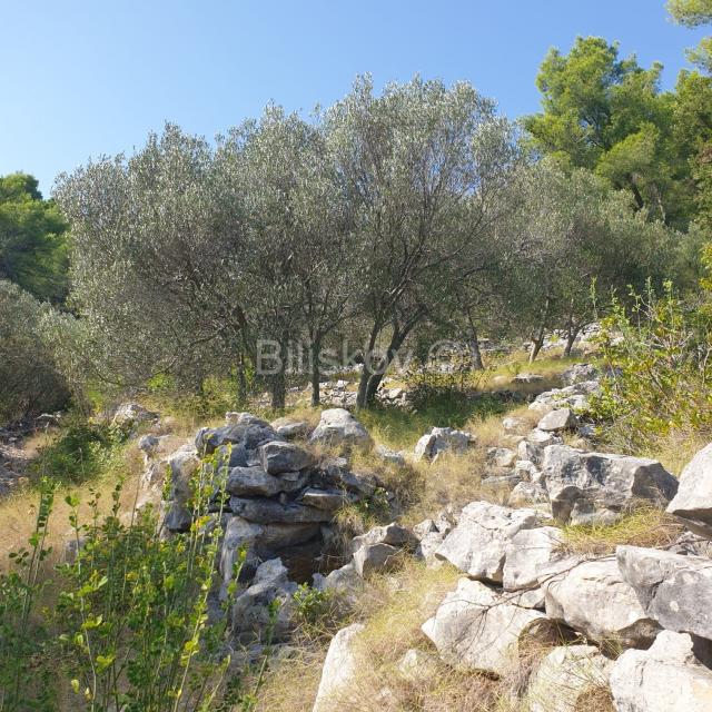 Vela Luka, prodaja poljoprivredno zemljište 10756m2