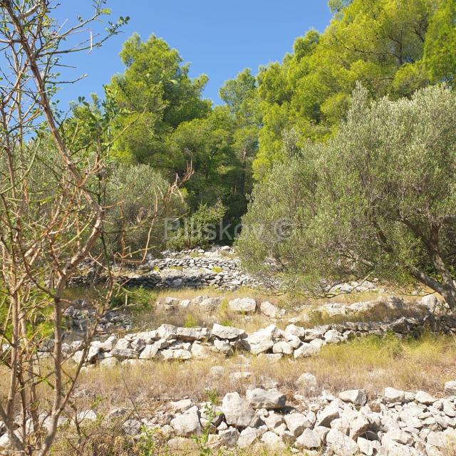 Vela Luka, prodaja poljoprivredno zemljište 10756m2